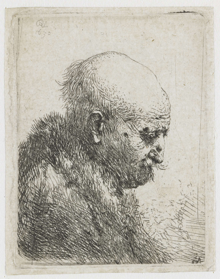  伦勃朗·梵·莱茵 Rembrandt van Rijn——光头男子右剖面